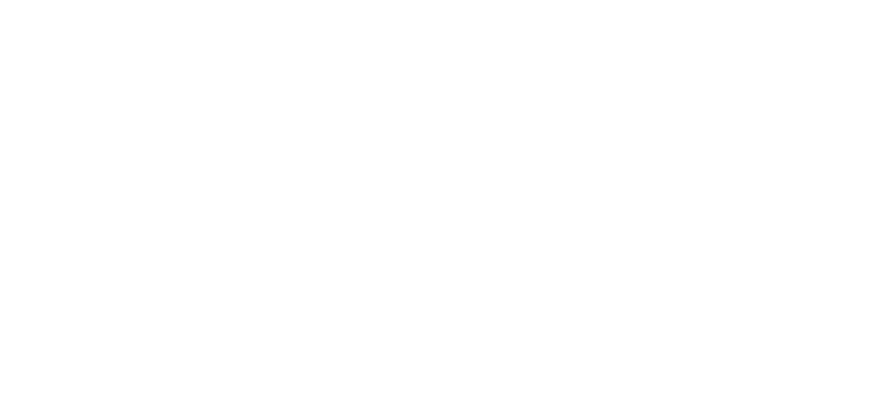 Elleve Hair Co.